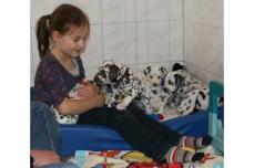 3 Wundersch�ne reinrassige Dalmatinerwelpen suchen Ihre Fami