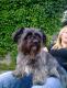 Suche dringend ein neues Zuhause