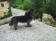 Suche dringend ein neues Zuhause