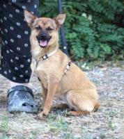 NESSY sucht ihre Familie