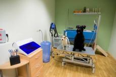 Wau! der Hundesalon