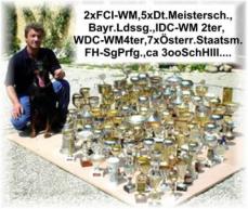 Dobermann f�r Familie, Freizeit und Sport