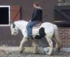 Sehr liebe und brave tinker stute