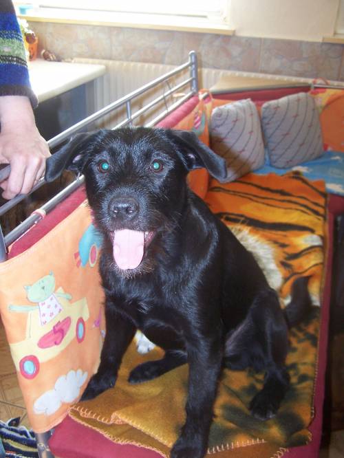  monate altes m�dchen