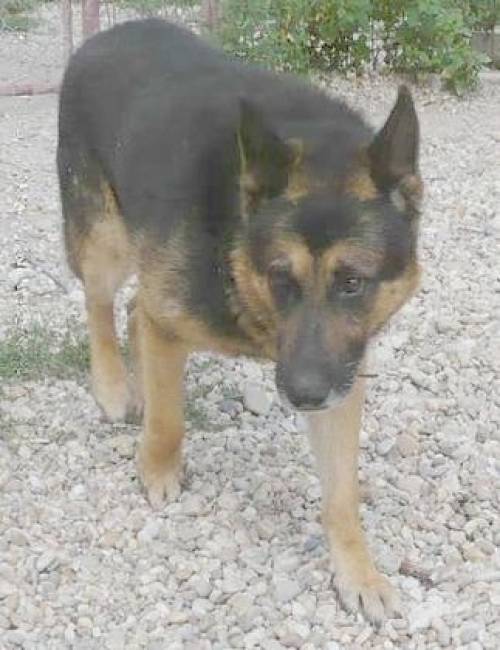 mixr�de max sucht