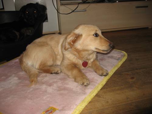 s�sses mix m�dchen sucht guten platz