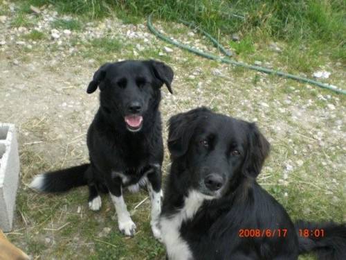 kira und rocky