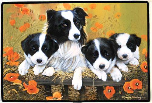 fussmatte border collie family