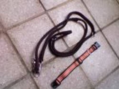 leine halsband geschirr