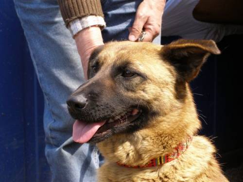 jenny malinoismixh�ndin