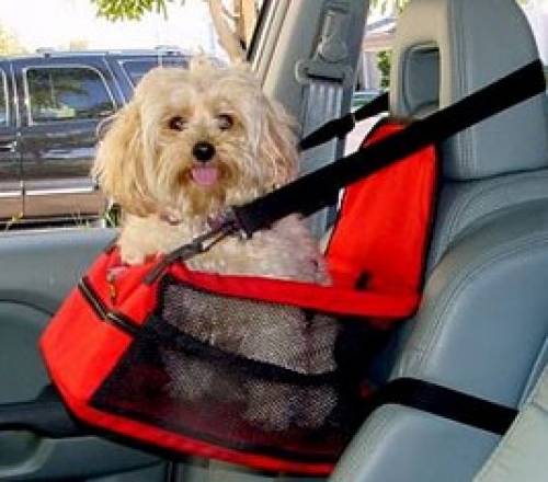 toller hunde autositz neu