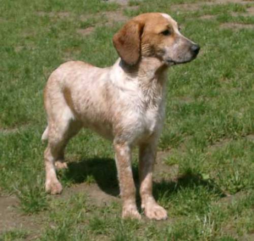 killian sucht sein gl�ck