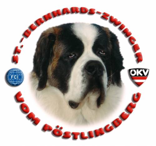 st bernhardshunde vom pstlingberg
