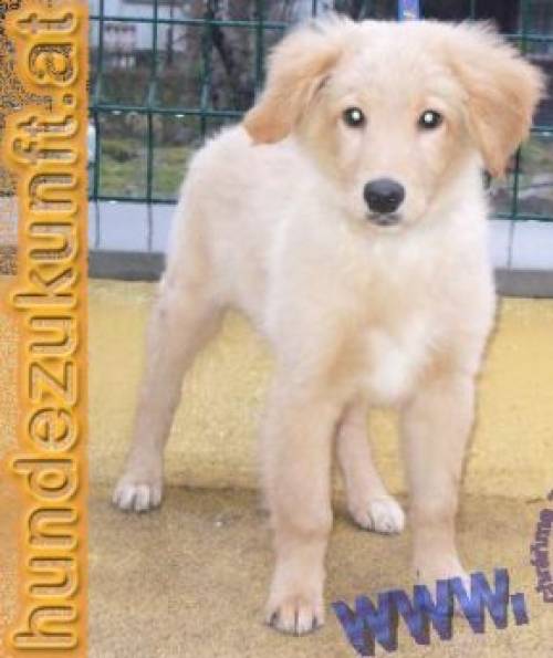 junior sucht lebensplatz