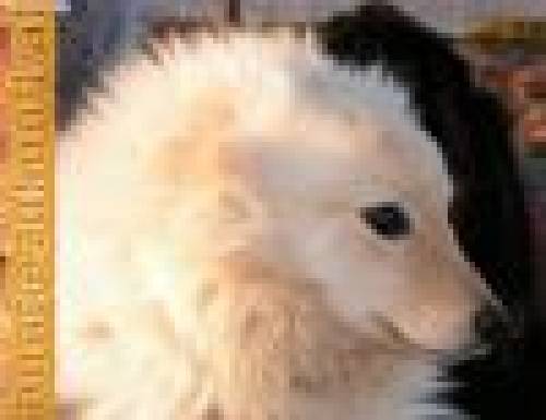 baki sucht lebensplatz